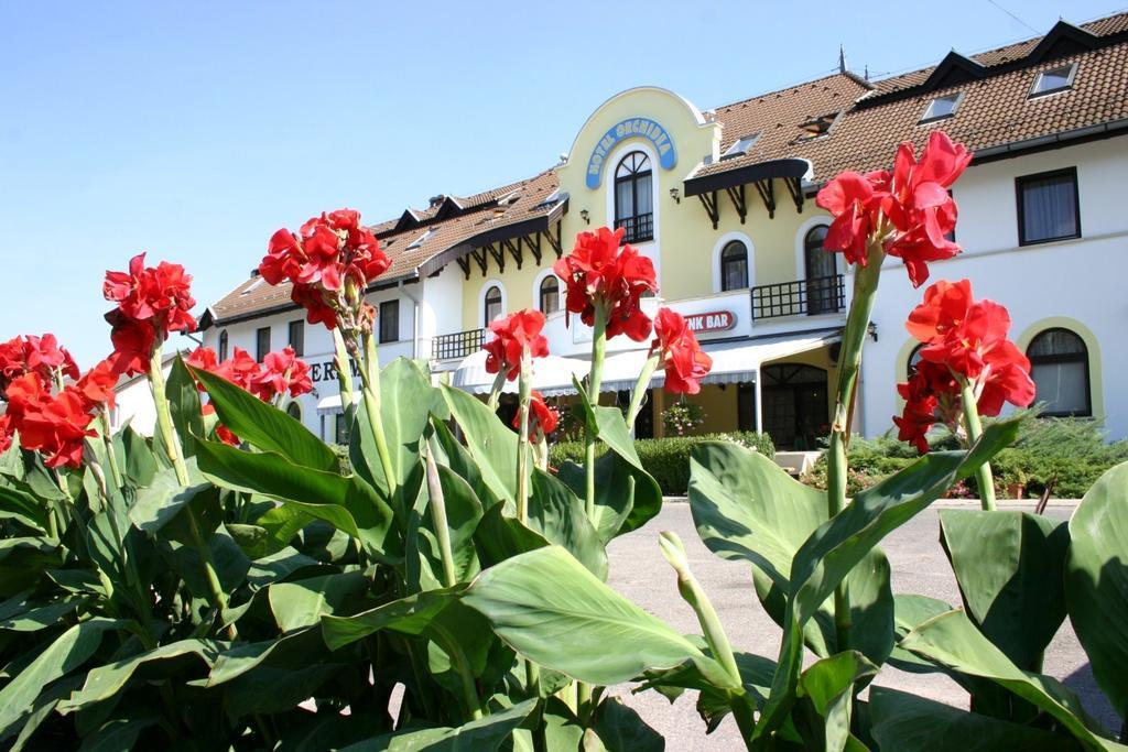 Hotel Orchidea Balastya Ngoại thất bức ảnh