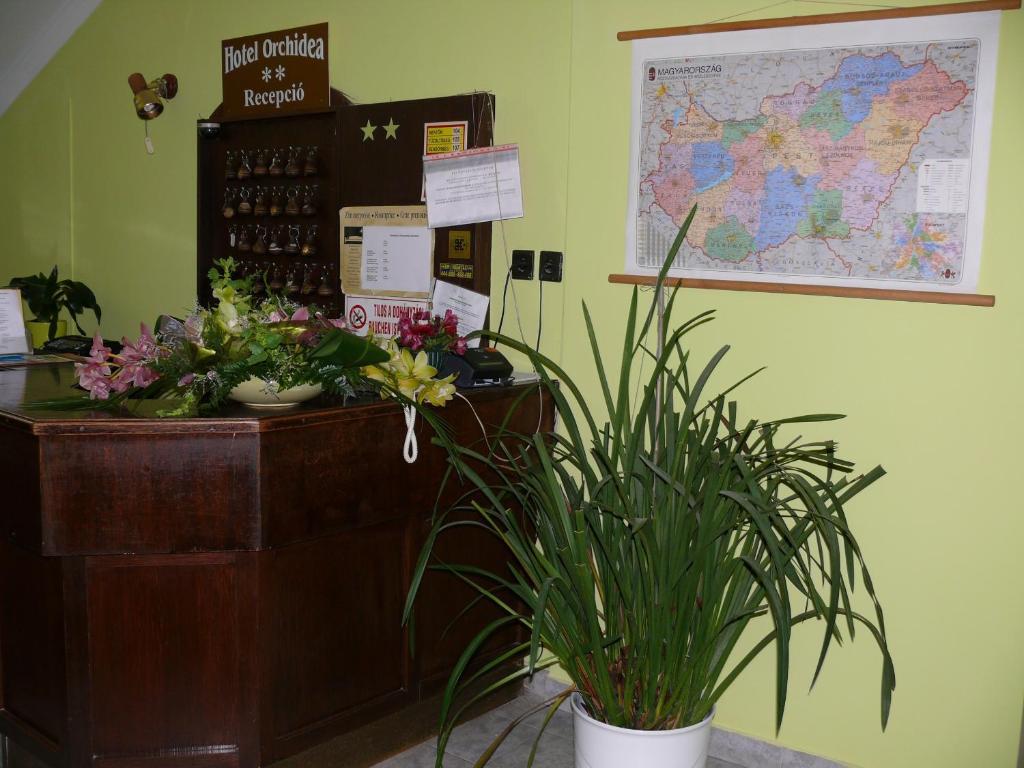 Hotel Orchidea Balastya Ngoại thất bức ảnh